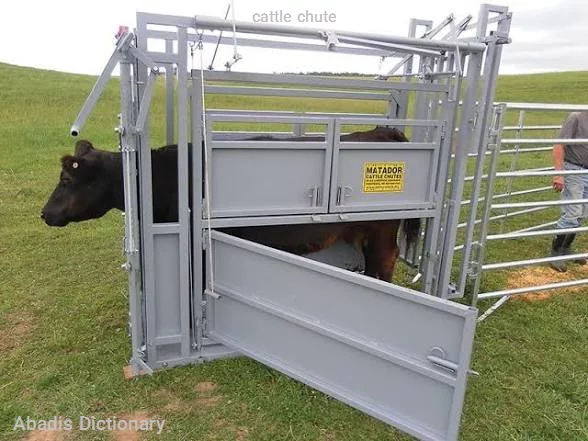 cattle chute